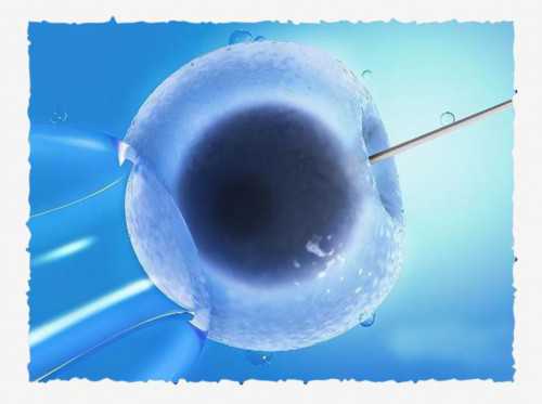 试管移植能选性别吗_试管婴儿可以做龙凤胎需要多少钱_菏泽可以做试管的医院