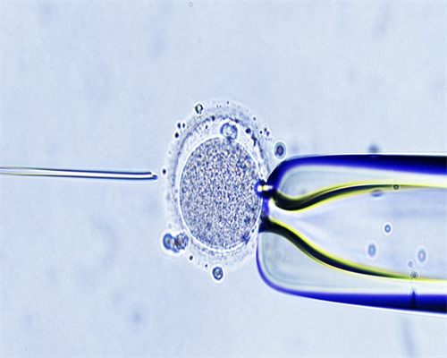 [南京什么情况可以试管婴儿可以用供精]_671O0_QC95a_8T912_血常规中血红蛋白低到多