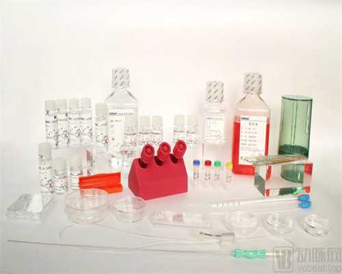 供精试管孩子很聪明_三代试管囊胚筛选比率_武汉正规供卵机构有哪些？地下公