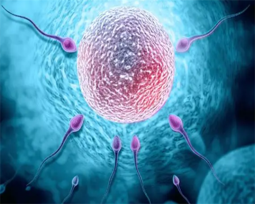 病例分析室 - NO.31 围绝经期异常子宫出血病例分析