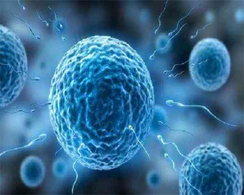 第三代试管婴儿成功率_试管婴儿亲身详细过程_请问：试管婴儿失败原因有哪些