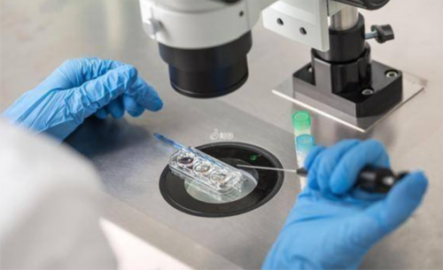 [南京做试管婴可以选择性别吗]_24岁备孕期间可以吃乌鸡白凤丸补气血吗？_t6