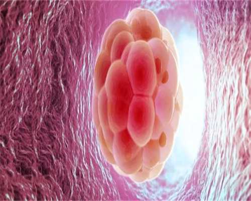 [南京试管龙凤胎需要哪些条件]_v9243_医生建议临界风险患者做羊水穿刺是骗局吗