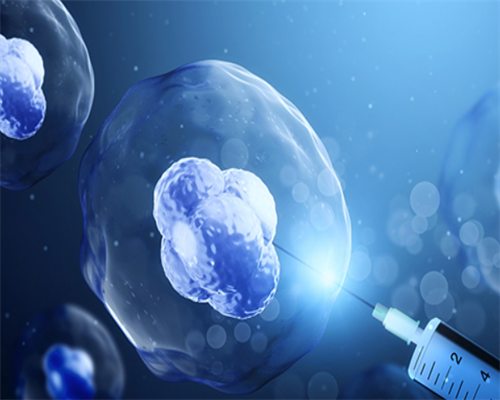 试管婴儿可以做男孩吗_试管婴儿对孩子健康吗_试管婴儿流程与注意事项，从建