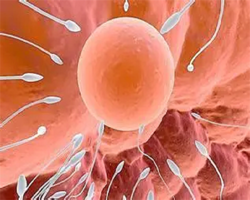 美国试管婴儿可以选性别吗_供精做试管婴儿婚姻_试管的胚胎等级对孩子什么方
