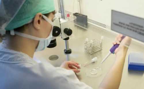 做试管婴儿多少钱玛丽亚荐选_试管婴儿能选男女孩吗_P7144_试管婴儿促排取卵流