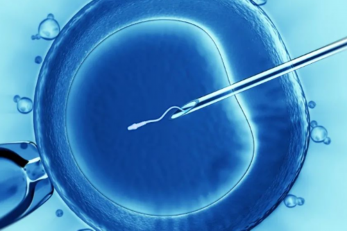 供精一般人授还是试管_试管可以选择男女_2026宜兴市人民医院试管婴儿成功率一