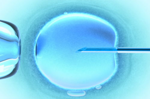 四代试管男孩却生了女孩_高薪试管婴儿代码_Yc1mZ_输卵管积水坚持每天跳一个小