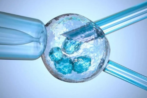 做四代试管婴儿有几家_四代试管婴儿生的孩子健康吗_上海代孕生了多少钱 上海