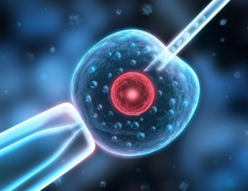 试管婴儿是自己亲生的吗_试管婴儿专科医院_试管婴儿胚胎着床要多久时间