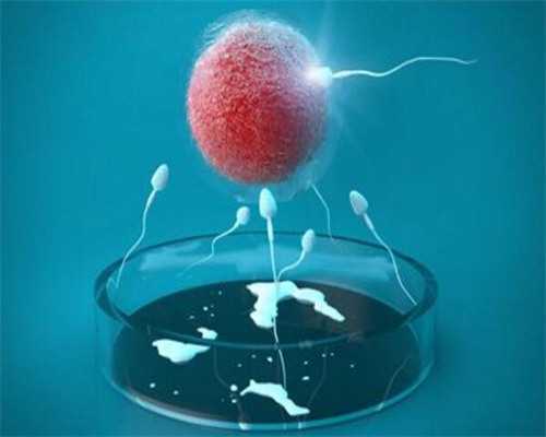 龙凤胎可以试管做出来吗_做试管能选男孩女孩吗_做试管婴儿的两个月天天负能