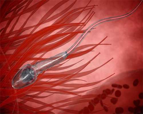 经期多少天之后是排卵期