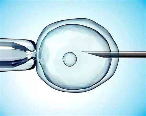 月经期间体重增加多久恢复