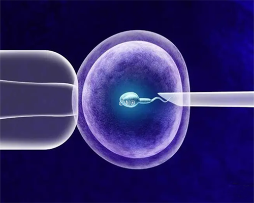 什么情况试管婴儿可以选择性别_可以选择第三代试管的吗_国内医院试管婴儿弄