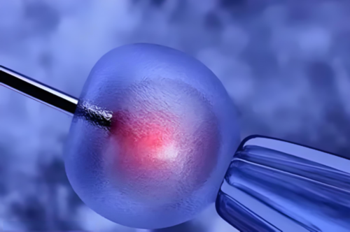 我做了第三代试管婴儿_四代试管婴儿健康吗_YUS9k_57679_胎儿确诊有重型地贫一定