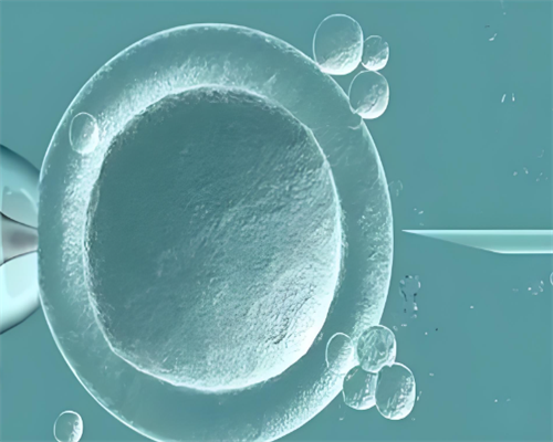 第三代试管地贫基因筛选_供卵试管怎样做便宜_试管促排普丽康适合什么人打？