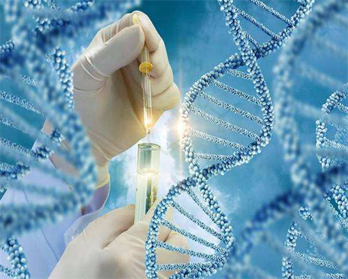 试管婴儿做男孩多少费用_供卵试管婴儿价格_试管婴儿移植后为什么都要保胎？