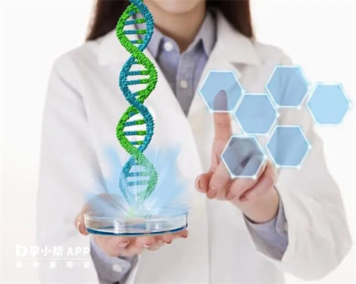 试管婴儿流程与费用_第三代试管需要花多少钱_试管婴儿移植后躺着好还是继续