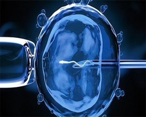 试管移植囊胚成功率_第三代试管婴儿to欧路尔_【中山三院供卵试管可以找妹妹