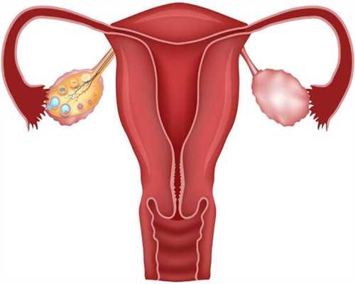 试管婴儿的姐妹论坛_三代试管婴儿成功率高吗_大龄女性做试管婴儿需要注意哪