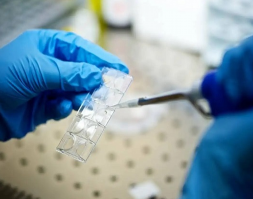 南京哪里有代怀机购 2026年去南京鼓楼医院申请供精需要等多久 ‘4个月双顶径