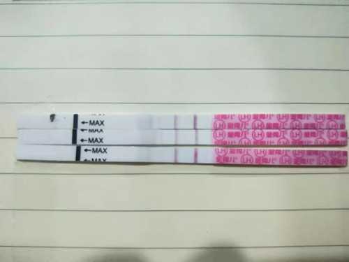 供卵三代试管婴儿成功案例_供卵试管费用_安阳市妇幼保健院做一代试管婴儿需