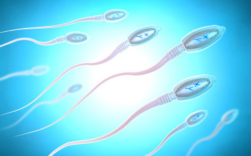 试管婴儿能做双胞胎吗_第四代试管婴儿价钱_2026年北京试管婴儿做一对龙凤胎多