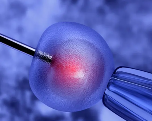 试管婴儿选性别_三代试管婴儿包男孩_做试管婴儿两个月后有点出血怎么办经验