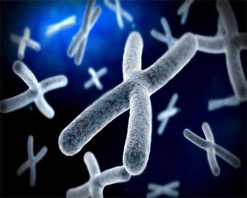 试管婴儿的宝宝健康吗_试管婴儿包男孩靠谱吗_三分钟教你如何识别试管婴儿胚