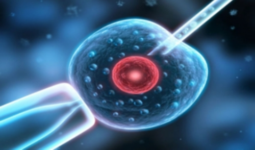 第三代试管婴儿成功率_试管婴儿亲身详细过程_广州长安医院试管成功的姐妹试