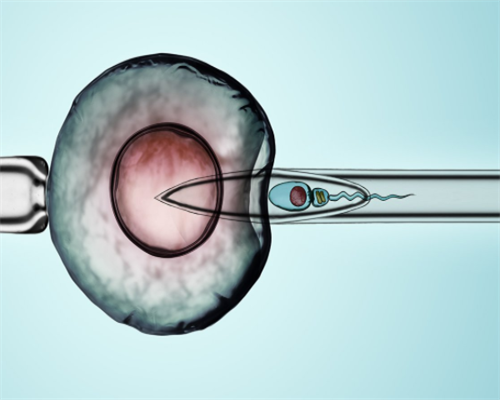 [南京供卵试管婴儿哪里做]_67266_威海正规医院供卵三代试管的具体流程是怎么样