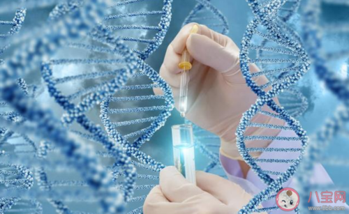 试管婴儿的案例_三代试管活检成功率_2026武汉协和医院做三代试管筛查一个胚胎