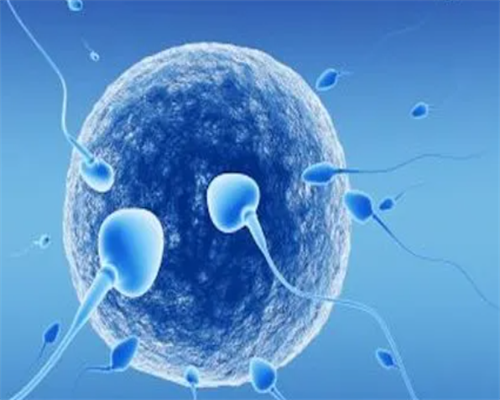试管婴儿促排方案如何选择_绝经两年可以做供卵试管吗_4AC的胚胎和4BB的区别有