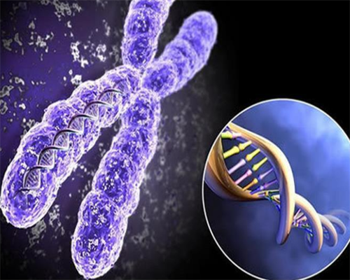 南京瑞金医院试管婴儿包含哪些项目流程,南京第一妇婴试管建档流程