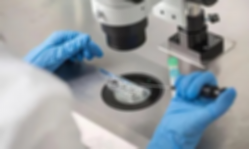 试管婴儿可以代孕吗_第三代试管婴儿包成功_试管婴儿取卵怎么取的？分享我的