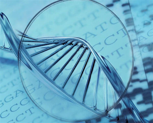 经期前后外阴瘙痒怎么治疗