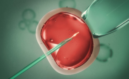 试管婴儿产子的价格_第四代试管婴儿费用_揭秘俄罗斯试管婴儿的男方流程——