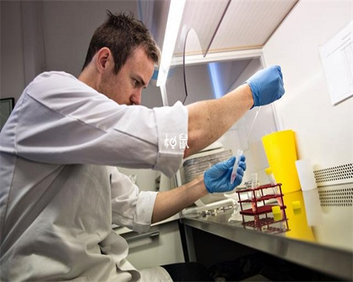 试管婴儿龙凤胎几率大吗?_克氏可以选择试管性别吗_基因检测全覆盖 助力宁波