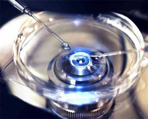 试管婴儿过程图_试管婴儿技术泰悦_【北京哪里可以做供卵试管】14日小家伙就