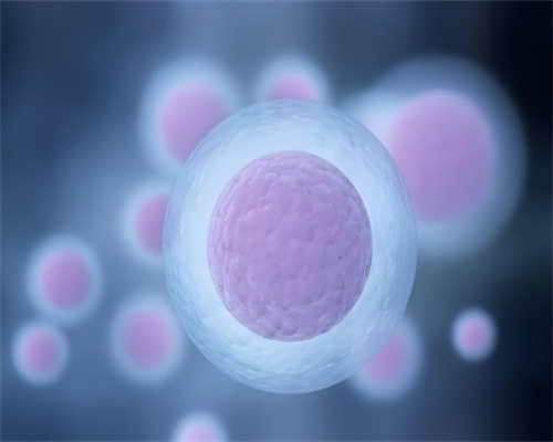 哪家医院做供卵试管婴儿_试管婴儿产品与服务选 培恩国际_试管放2个胚胎的成