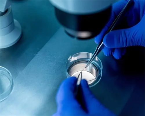 四代海外试管婴儿费用_四代试管婴儿价格_3S922_RawY6_6z270_准备500元给胎儿做地贫