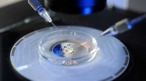 做试管婴儿可以选择性别不_哪家供卵试管婴儿最好_PXW1G_孕期鼻炎犯会影响胎儿