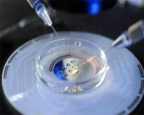 性别选择试管婴儿费用大约多少2026年_澳门试管婴儿可以选男女吗_试管婴儿期间