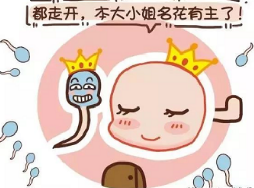 南京代孕包性别价钱 2026年在南京鼓楼申请供卵三代试管婴儿费用大概多少？