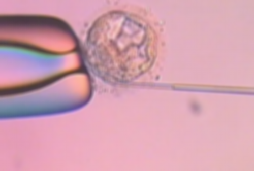 泰国试管在什么年龄段做比较好，成功高？,去泰国做试管婴儿需要注意什么？