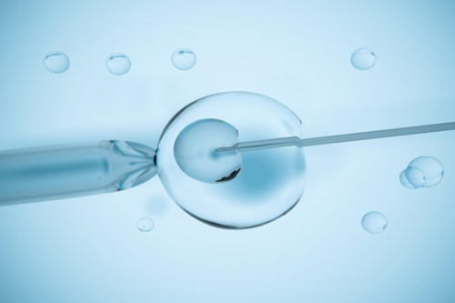 [南京试管婴儿可以挑选性别吗]_9748j_E0c52_哪里可以预约挂沧州妇幼保健院韩风梅