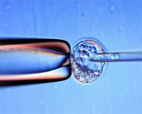 [南京55岁左右借卵试管婴儿成功的]_白带清洁度3度是怎么回事？需要治疗吗？