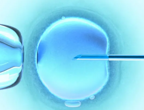 试管龙凤胎有什么要求_试管男孩女孩可以选择吗_孕初期白带偏黄伴有炎症，可