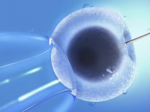 供精试管生的孩子都健康吗_现在做试管可以选择男女吗_03125_谁有最新的2026年人