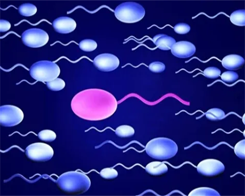 南京助孕要检查什么 南京市第二医院 ‘女娃的肚型’